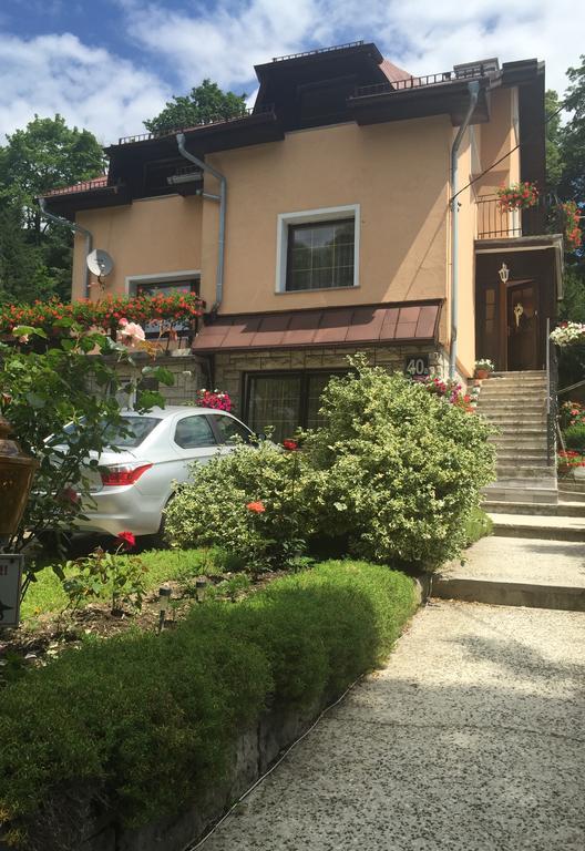 Noclegi Pod Kasztanem Duszniki Zdrój Εξωτερικό φωτογραφία